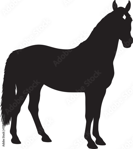 Mountain Pleasure Horse in silhouette pure white background.
