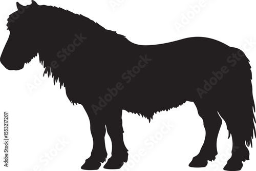Nangchen horse in silhouette pure white background.