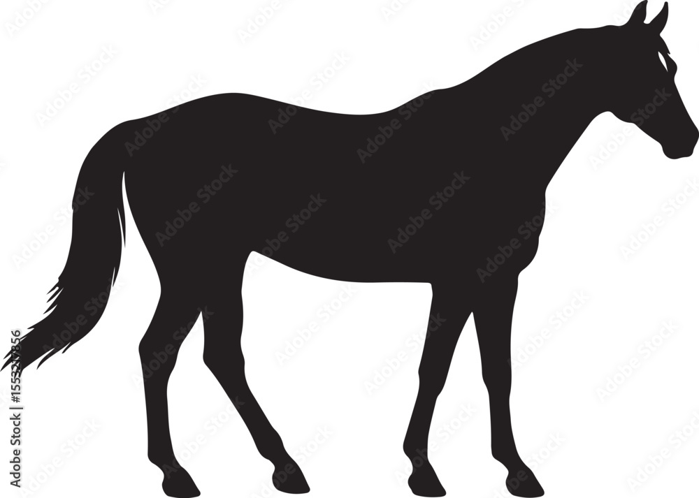 Obraz premium National Show Horse in silhouette pure white background.