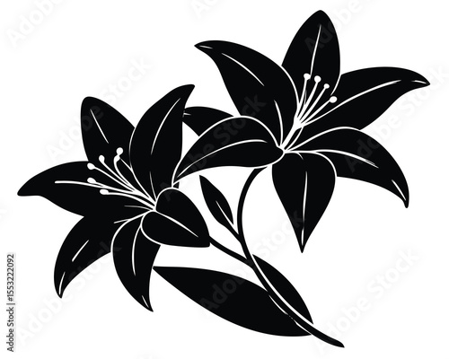 vector-black-contour-of-lily-flowers-isolated white background