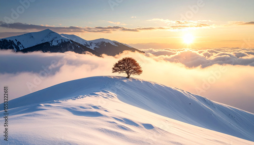 Solitary Tree on Snowy Mountain: Witness the beauty of a lone tree standing strong atop a snow-covered peak, illuminated by the golden light of the sun, in this awe-inspiring vista.