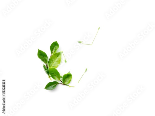 Recycling Leaves Icon on Light Background – Eco-Friendly Concept of Sustainable Production, Eco Plastic, and Green Fuel (AI Generated)
