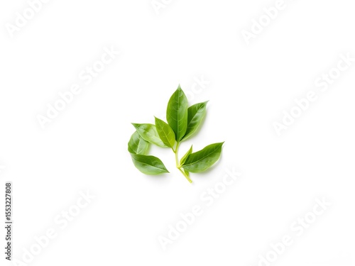 Recycling Leaves Icon on Light Background – Eco-Friendly Concept of Sustainable Production, Eco Plastic, and Green Fuel (AI Generated)