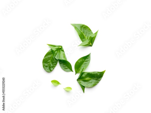 Recycling Leaves Icon on Light Background – Eco-Friendly Concept of Sustainable Production, Eco Plastic, and Green Fuel (AI Generated)