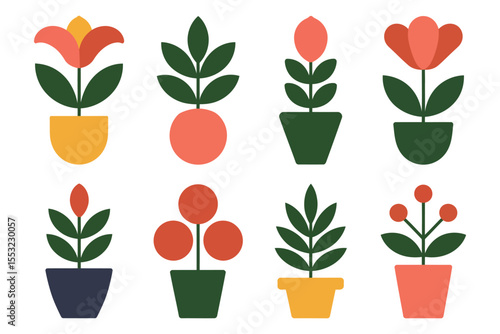 Red tulips in white pots, a vibrant spring garden illustration
