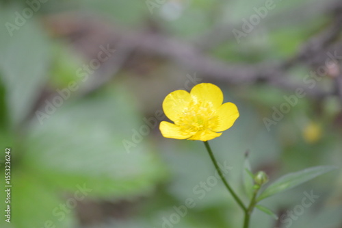 Relax in Seliger with dog