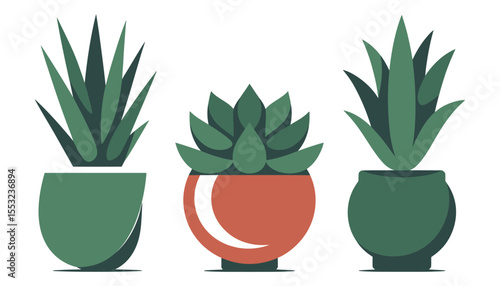 A potted cactus and an aloe vera plant sit isolated, showcasing their natural, succulent leaves
