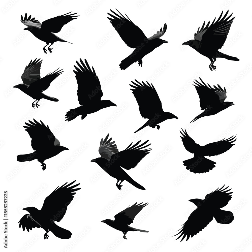 Obraz premium set of silhouettes of crow