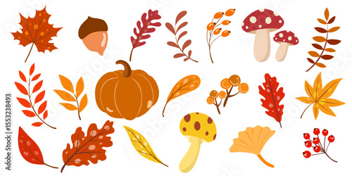 Hand drawn vector set autumn elements. Fall autumn leaves, mushrooms, maple, acorns, berries, oak, pumpkins. Colorful autumn illustration. 