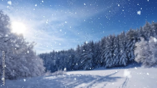 Wallpaper Mural A set of blurred winter backgrounds with snowy fields, frosted trees, and soft sunlight, creating dreamy and atmospheric seasonal scenes. Torontodigital.ca