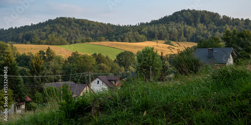 Fototapeta Naklejka Na Ścianę i Meble -  Picturesque Rural Landscape with Hills and Houses in Bieszczady, Poland