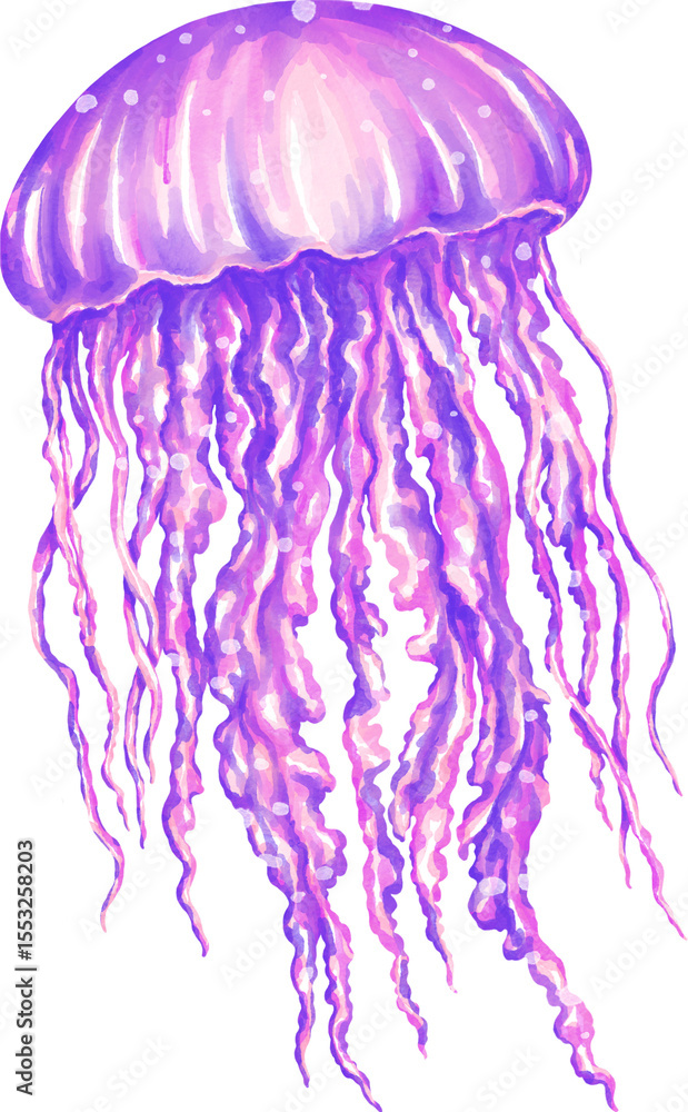 Fototapeta premium Watercolor jellyfish graphic illustration, which can be used in many forms such as scrapbook, postcards, stickers, teaching media, digital printing and many more.