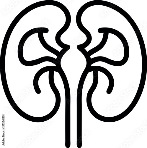 human kidneys
