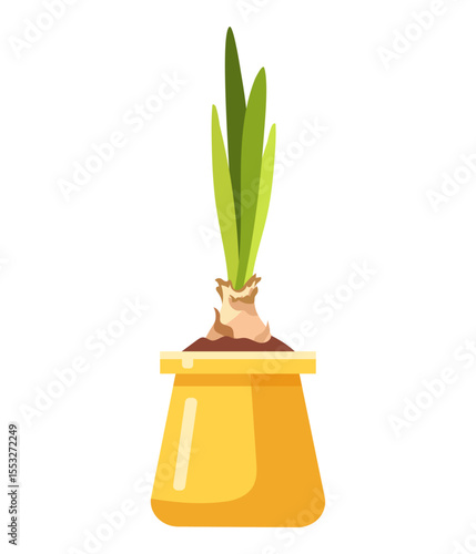 Hand drawn Vector illustration of growing flower bulbs with sprouts in yellow pot with soil, Nature ecology potted plants, spring, gardening, offspring theme isolated on white background