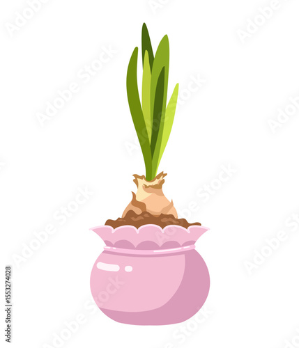 Hand drawn Vector illustration of growing flower bulbs with sprouts in beautiful pink pot with soil, Nature ecology potted plants, gardening, spring, offspring theme isolated on white background