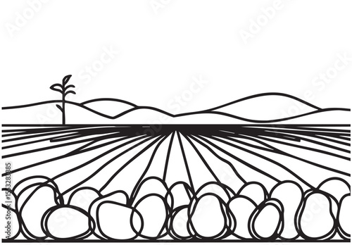 Abstract Potatoes sketch farm fields landscape. Vector line sketch illustration