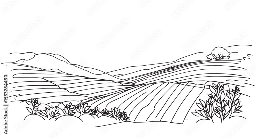 Fototapeta premium Simple hand drawn vector drawing in black outline. Doodles sketch landscape