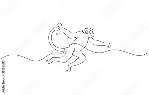 One continuous line drawing of Spider Monkey vector illustration, Elegant galada monkey illustration in continuous line drawing. Monkey single line art vector illustration. Editable vector