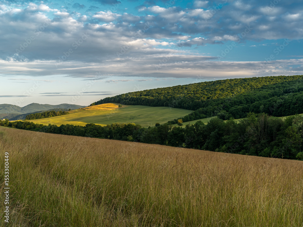 Obraz premium Spring rural landscape at sunset. With tall grass in the meadow, forest in background. Cloudy sky. Side warm light illuminating the hill. Top view. Trencin, Orechove, Slovakia