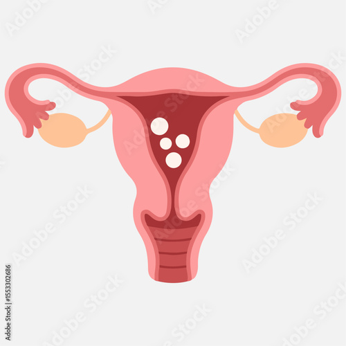 Healthy female uterus