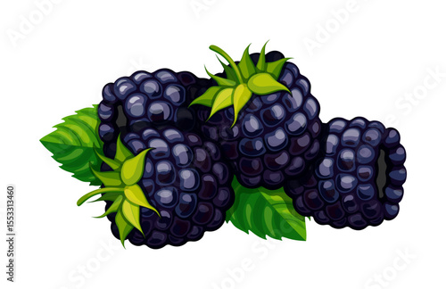 Group of sweet, whole blackberries in cartoon style. Vector illustration of fresh, juicy blackberries isolated on white background. Healthy food. Seasonal nutritious berries.