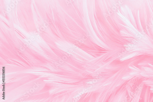 Beautiful soft pink bird feathers pattern texture background.