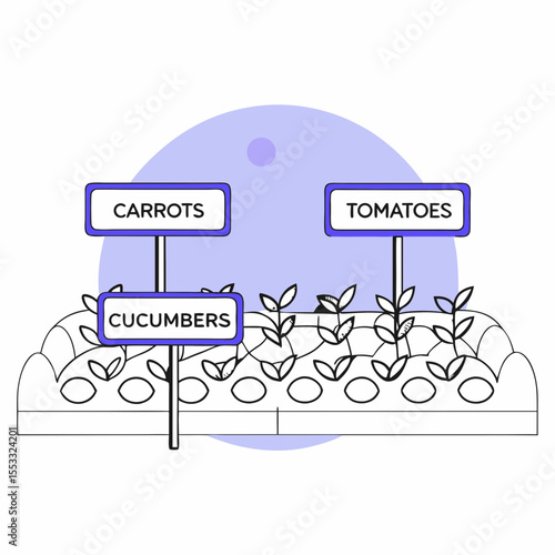 Vegetable garden with labels for carrots and cucumbers in simple style  