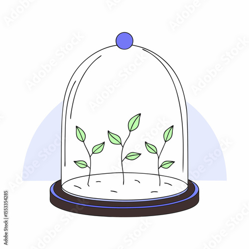 Mini greenhouse with plants under glass dome for concept of gardening  