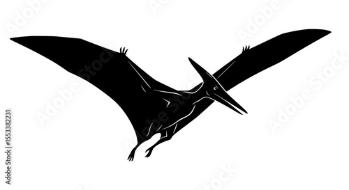 A Majestic Silhouette of a Pterodactyl in Mid Flight Displaying its Expansive Wingspan Against a Stark White Background Perfect for Educational Materials or Natural History Exhibits