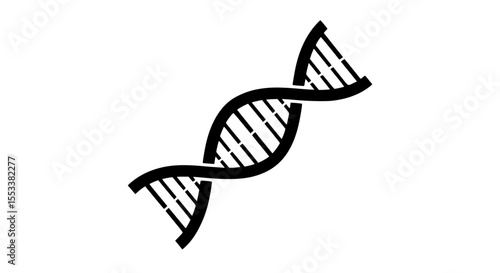 A detailed exploration of deoxyribonucleic acid structure function and its significance in genetics and heredity