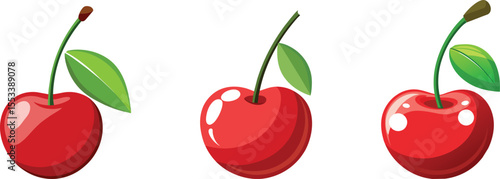 Cherry fruit vector illustration