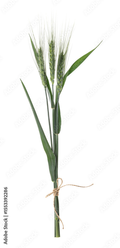 Obraz premium Beautiful green wheat spikes isolated on white