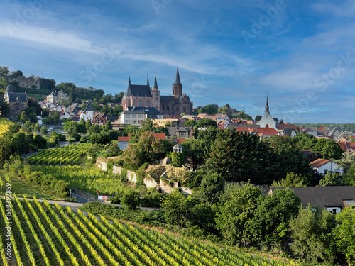 Oppenheim am Rhein with vineyards and St. Catherine's Church, panorama drone shot in summer
