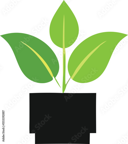 A simple stylized illustration of a healthy green plant with three broad leaves emerging from a black pot against a white background