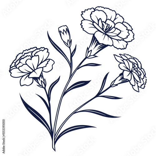 carnations with leaves