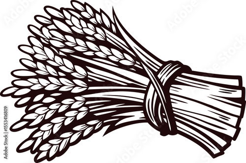 Hand drawn illustration of wheat bundle tied with rope, vintage engraved isolated on white background