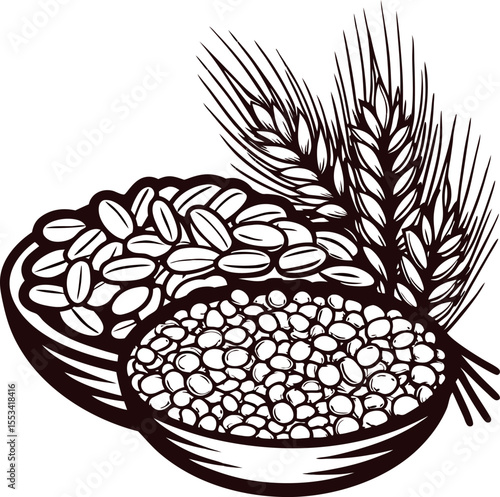 Hand drawn grains and wheat in bowls vintage engraved sketch farm harvest food illustration