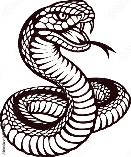 Detailed hand drawn illustration of coiled cobra snake with hood flared and forked tongue extended, isolated on white