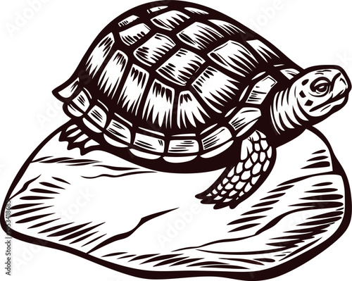 Hand drawn tortoise resting on rock vintage black and white engraving illustration