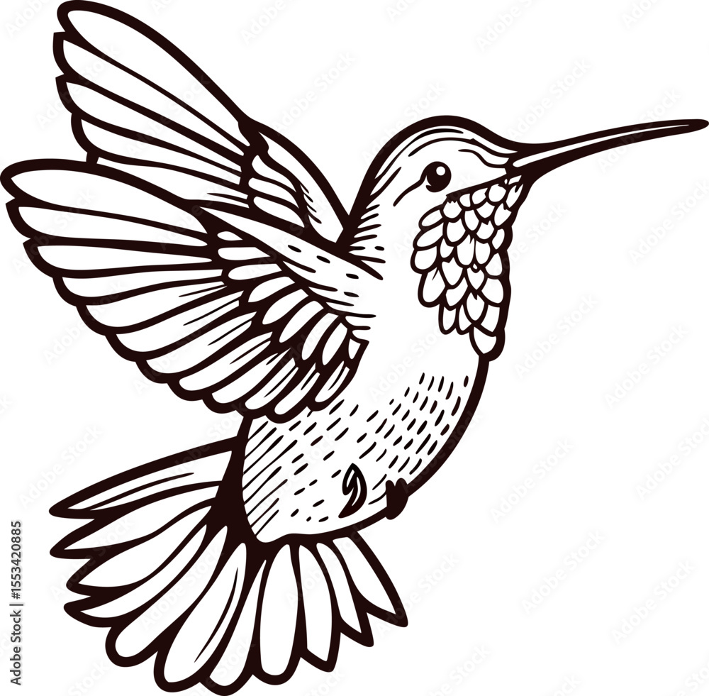 Obraz premium detailed hand drawn illustration of a hummingbird in flight vintage black and white ink sketch isolated on white