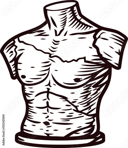 Antique male torso sculpture illustration with classical chiseled muscles and ancient statue details on white