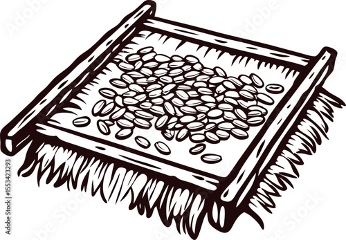 Hand drawn vintage winnowing tray with rice grains in engraved illustration