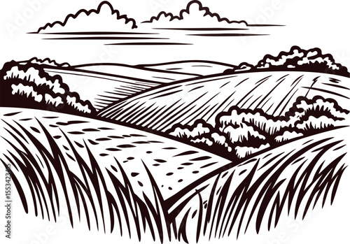 Hand drawn landscape illustration of rolling countryside fields with clouds and grass in vintage engraved