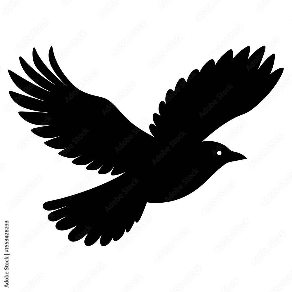 Obraz premium silhouette of flaying bird