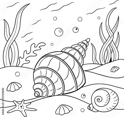 Seashell Underwater Coloring Page