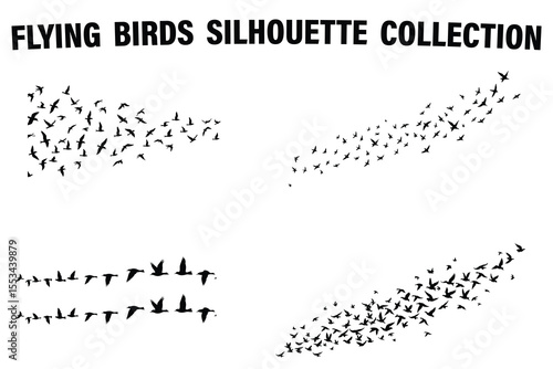 Flying Flock Birds Vector Set
