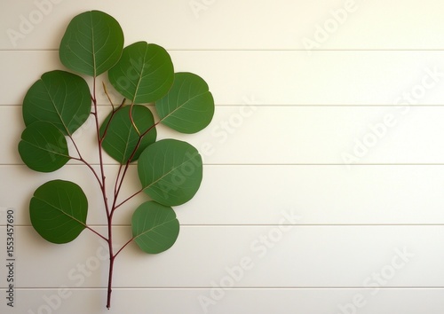 Green Leaves Branch on Smooth Light Background, Natural Design Element