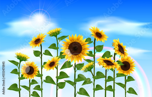 Sunflower on blue sky background. Vector illustration for your design.