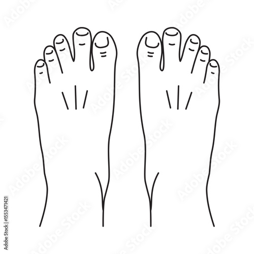 Two bare human feet editable stroke on white background. Top view. Foot legs. Vector flat outline icon illustration isolated.