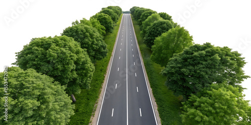 Top down aerial view of a straight two lane asphalt road lined with lush green trees isolated on a transparent background 1